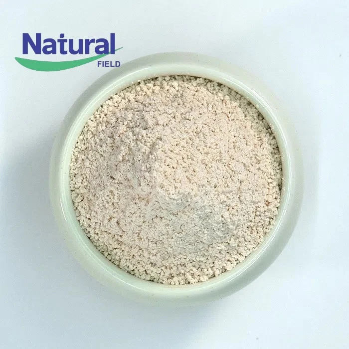 98% Trans Resveratrol Powder 98% Trans Resveratrol Powder